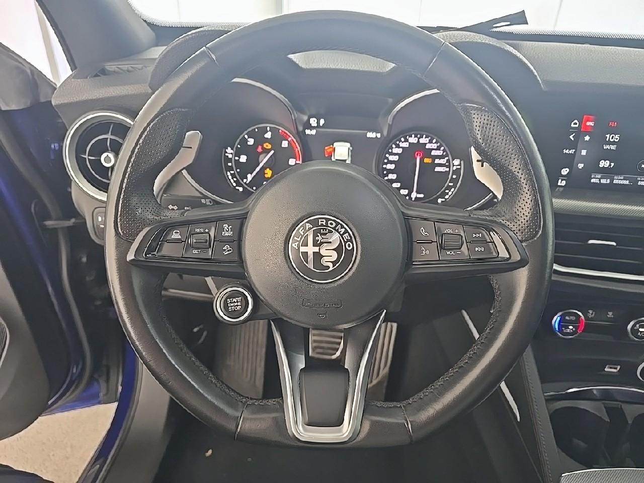 Alfa Romeo Alfa Romeo Stelvio usata 7