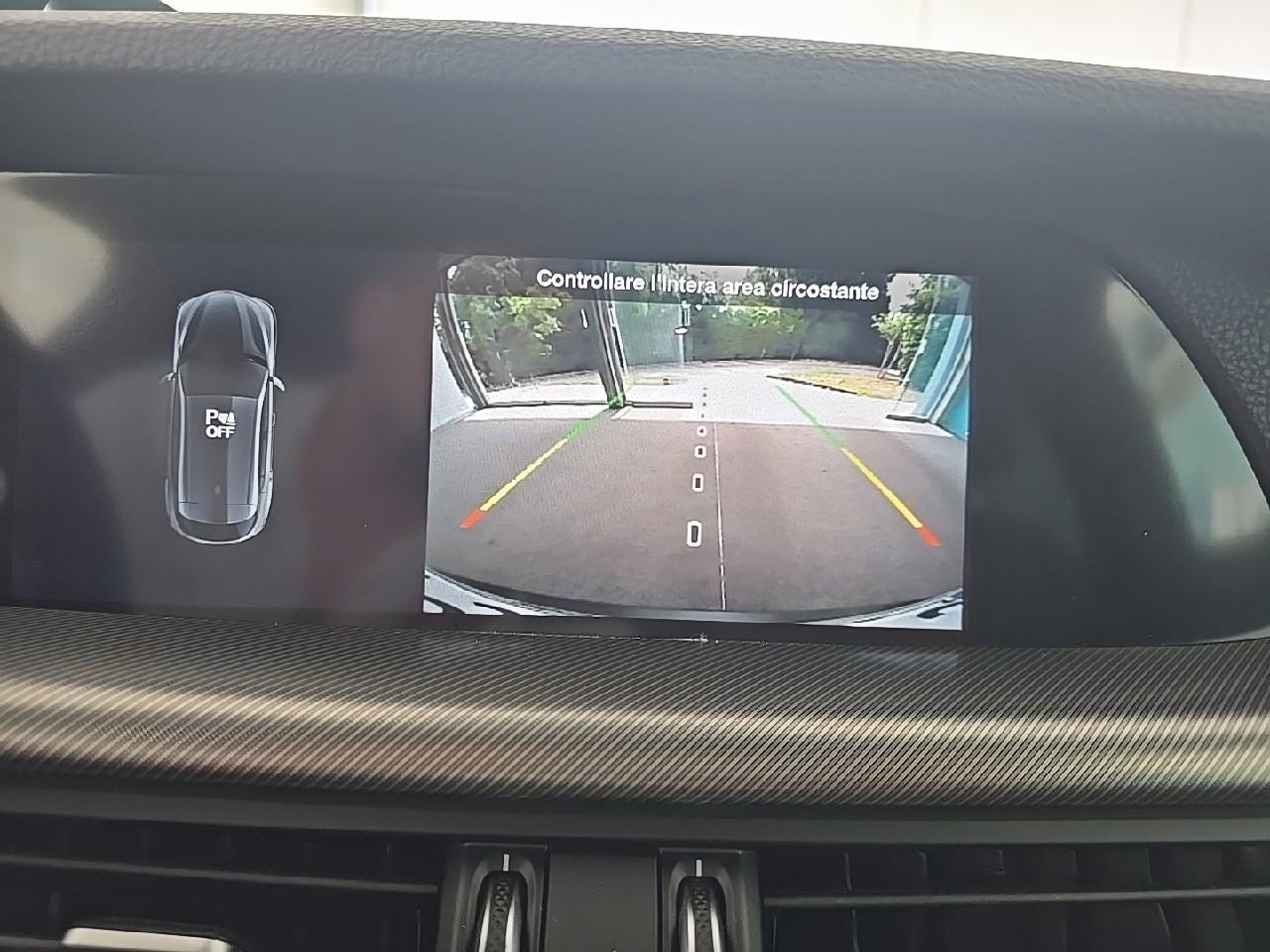 Alfa Romeo Alfa Romeo Stelvio usata 12
