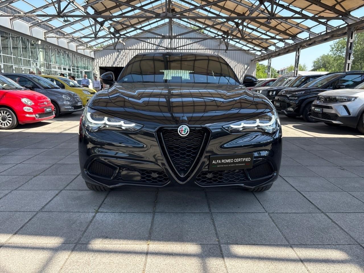 Alfa Romeo Alfa Romeo Stelvio usata 11