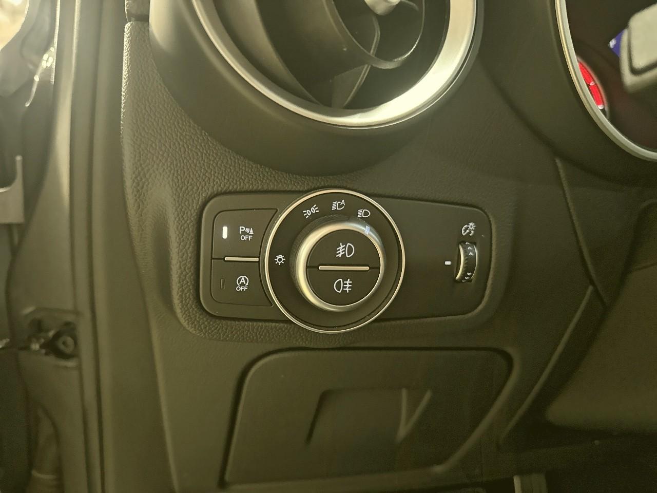 Alfa Romeo Alfa Romeo Stelvio usata 9