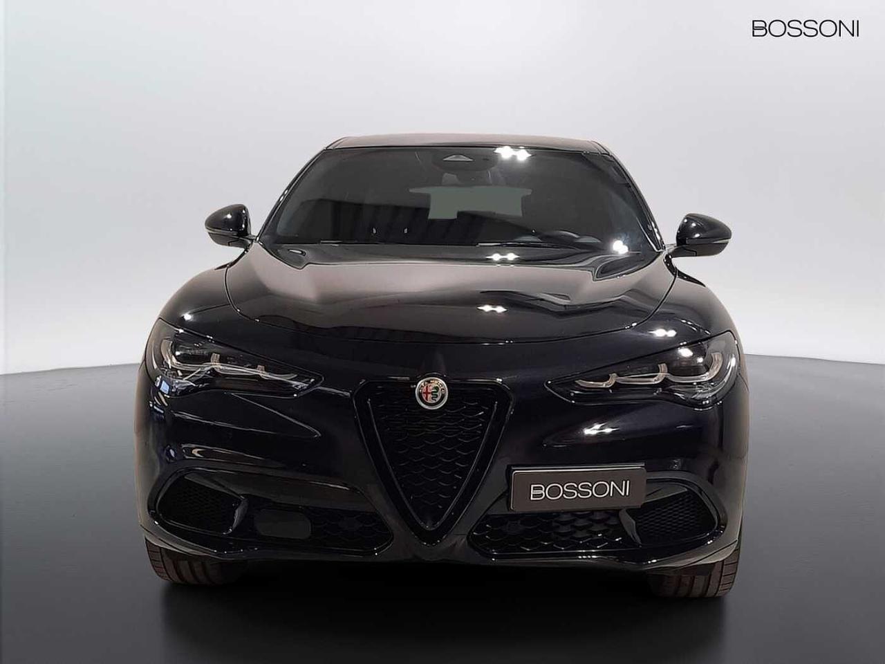 Alfa Romeo Alfa Romeo Stelvio usata 11