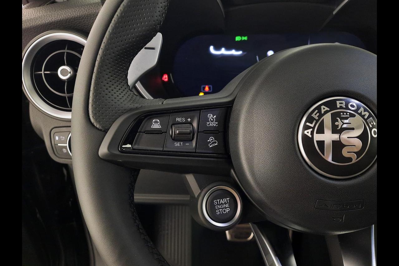 Alfa Romeo Alfa Romeo Stelvio usata 5