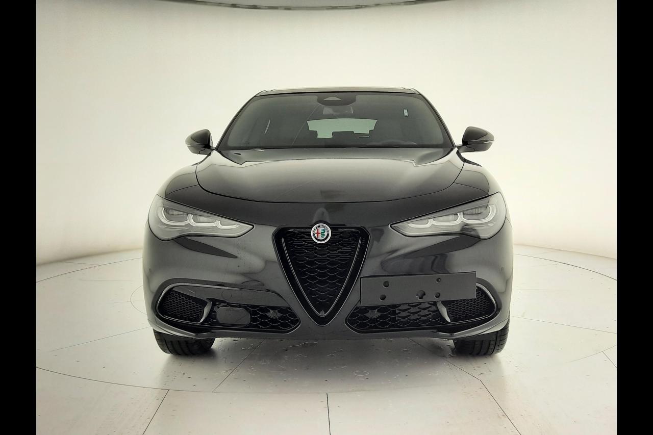 Alfa Romeo Alfa Romeo Stelvio usata 11