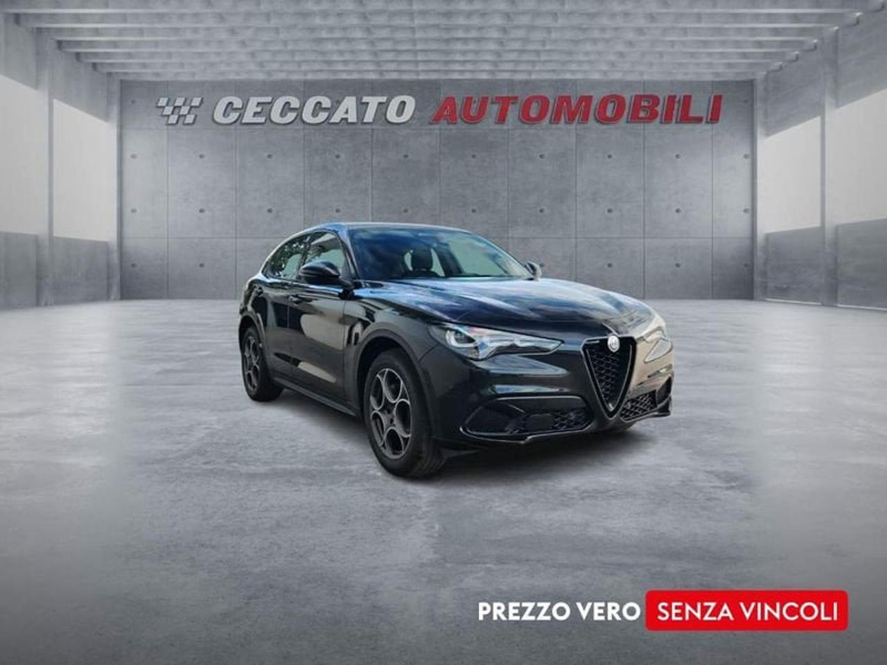 Alfa Romeo Alfa Romeo Stelvio usata 7