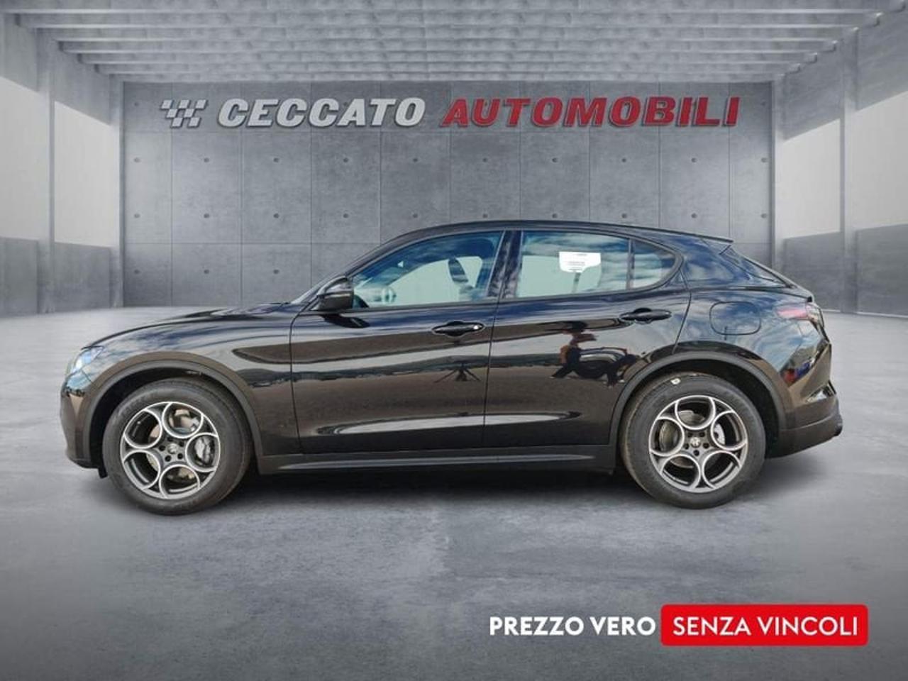 Alfa Romeo Alfa Romeo Stelvio usata 11