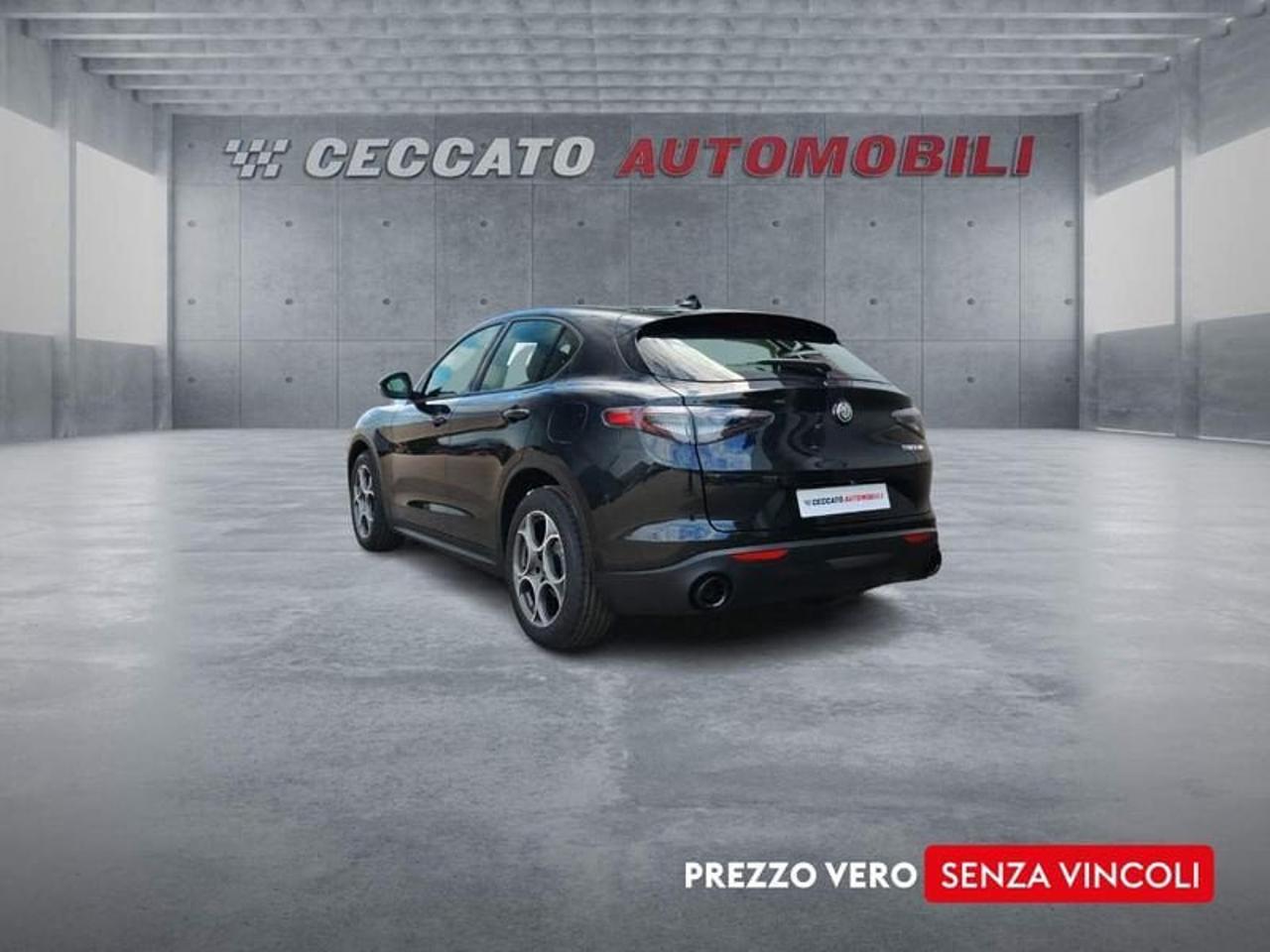 Alfa Romeo Alfa Romeo Stelvio usata 17