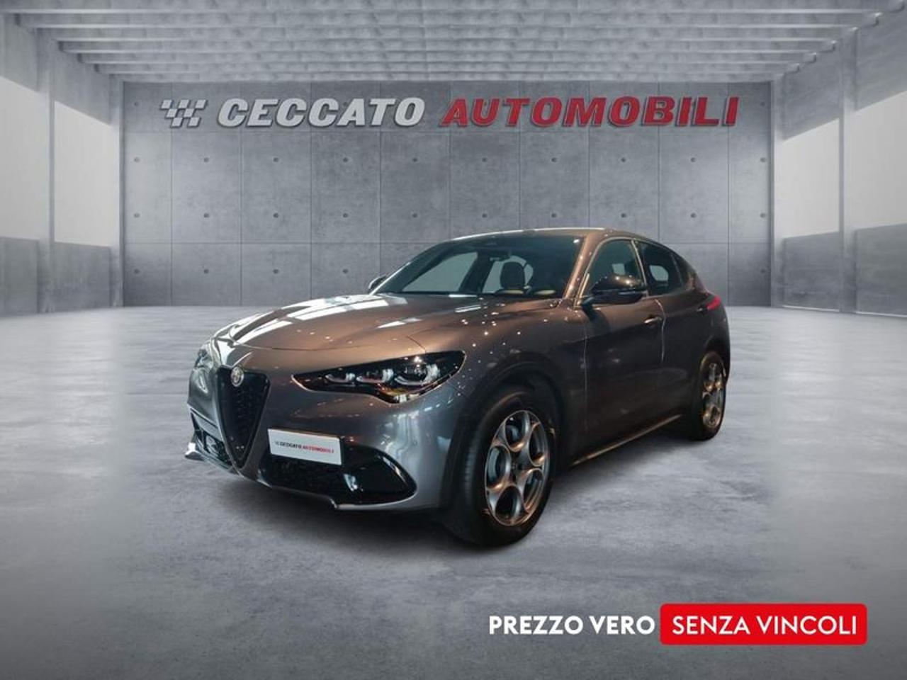 Alfa Romeo Alfa Romeo Stelvio usata 7
