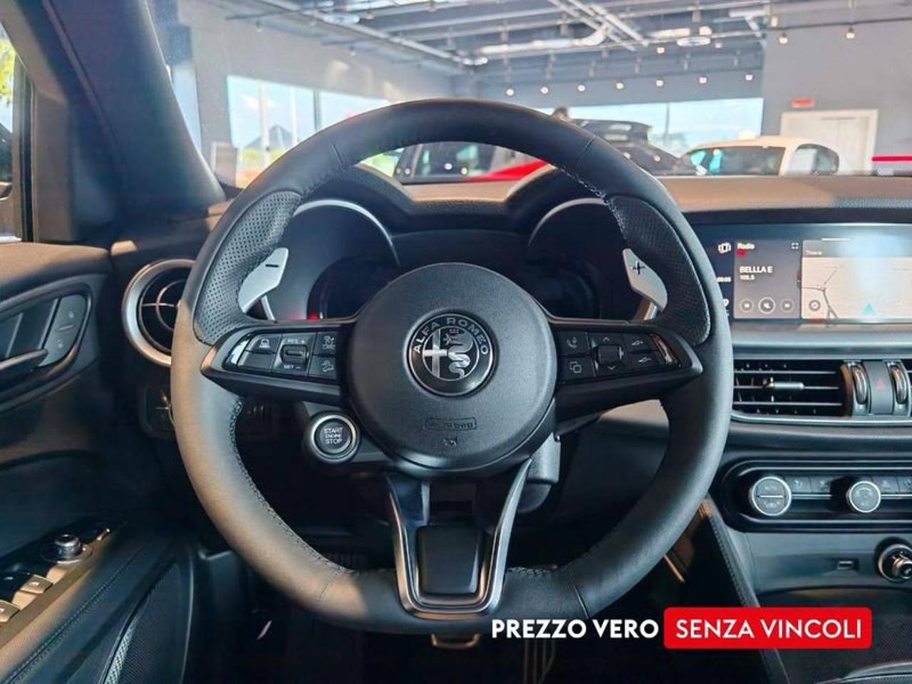 Alfa Romeo Alfa Romeo Stelvio usata 10