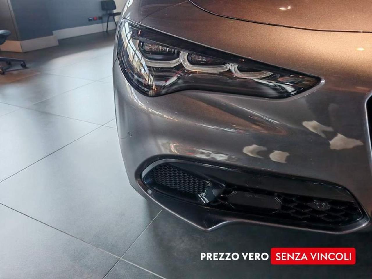 Alfa Romeo Alfa Romeo Stelvio usata 14