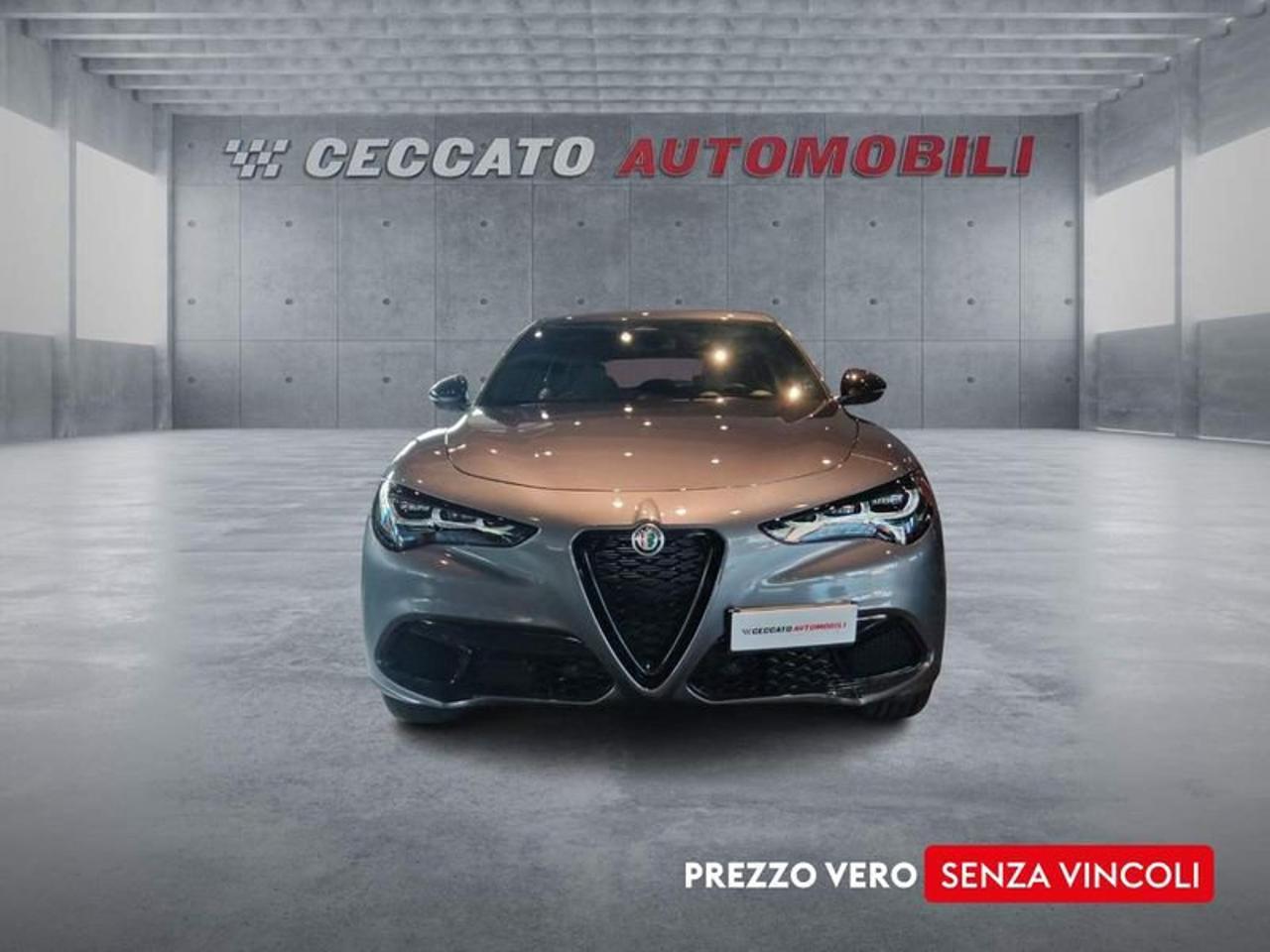 Alfa Romeo Alfa Romeo Stelvio usata 15
