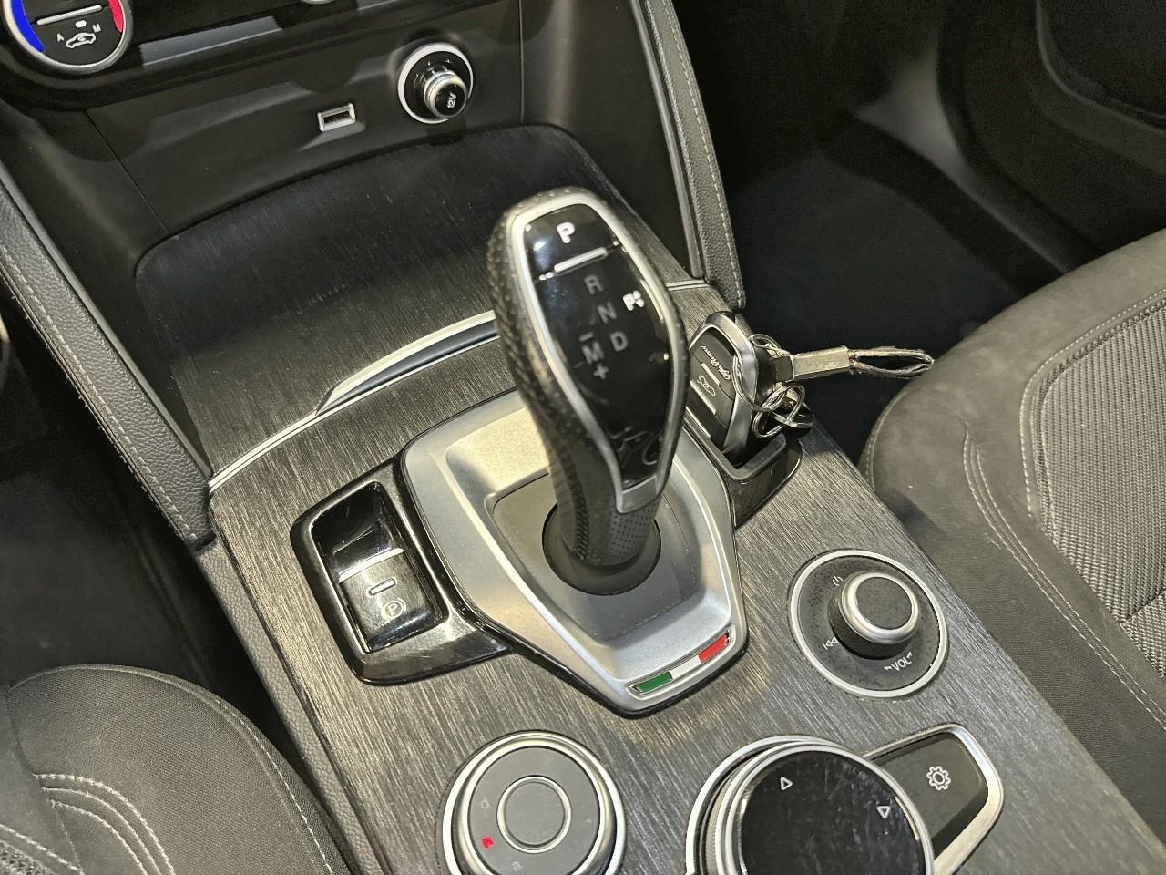 Alfa Romeo Alfa Romeo Stelvio usata 6