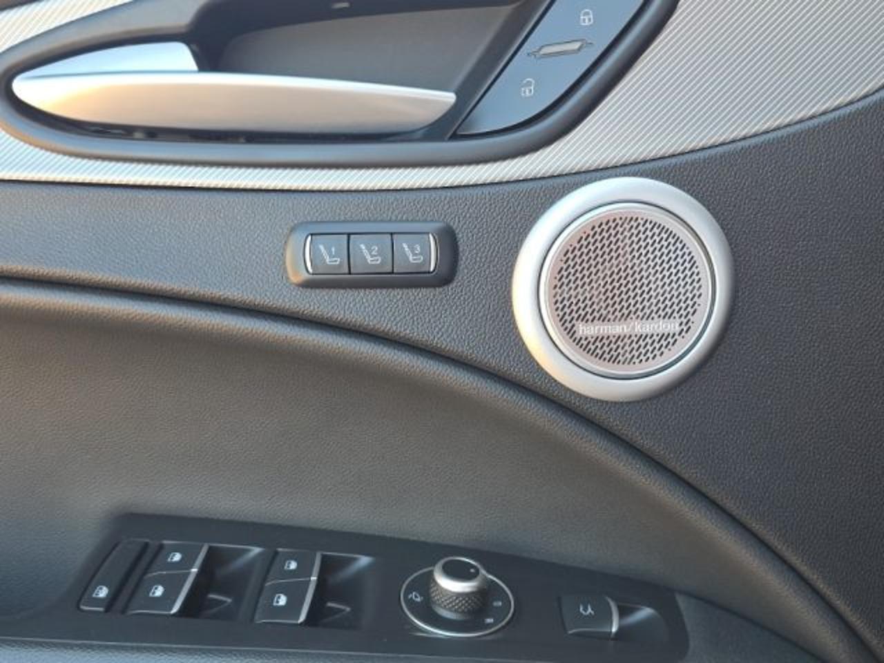 Alfa Romeo Alfa Romeo Stelvio usata 13