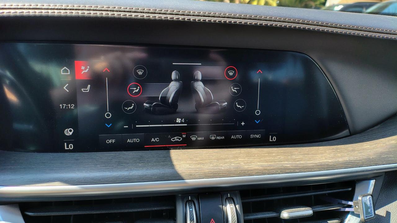 Alfa Romeo Alfa Romeo Stelvio usata 18