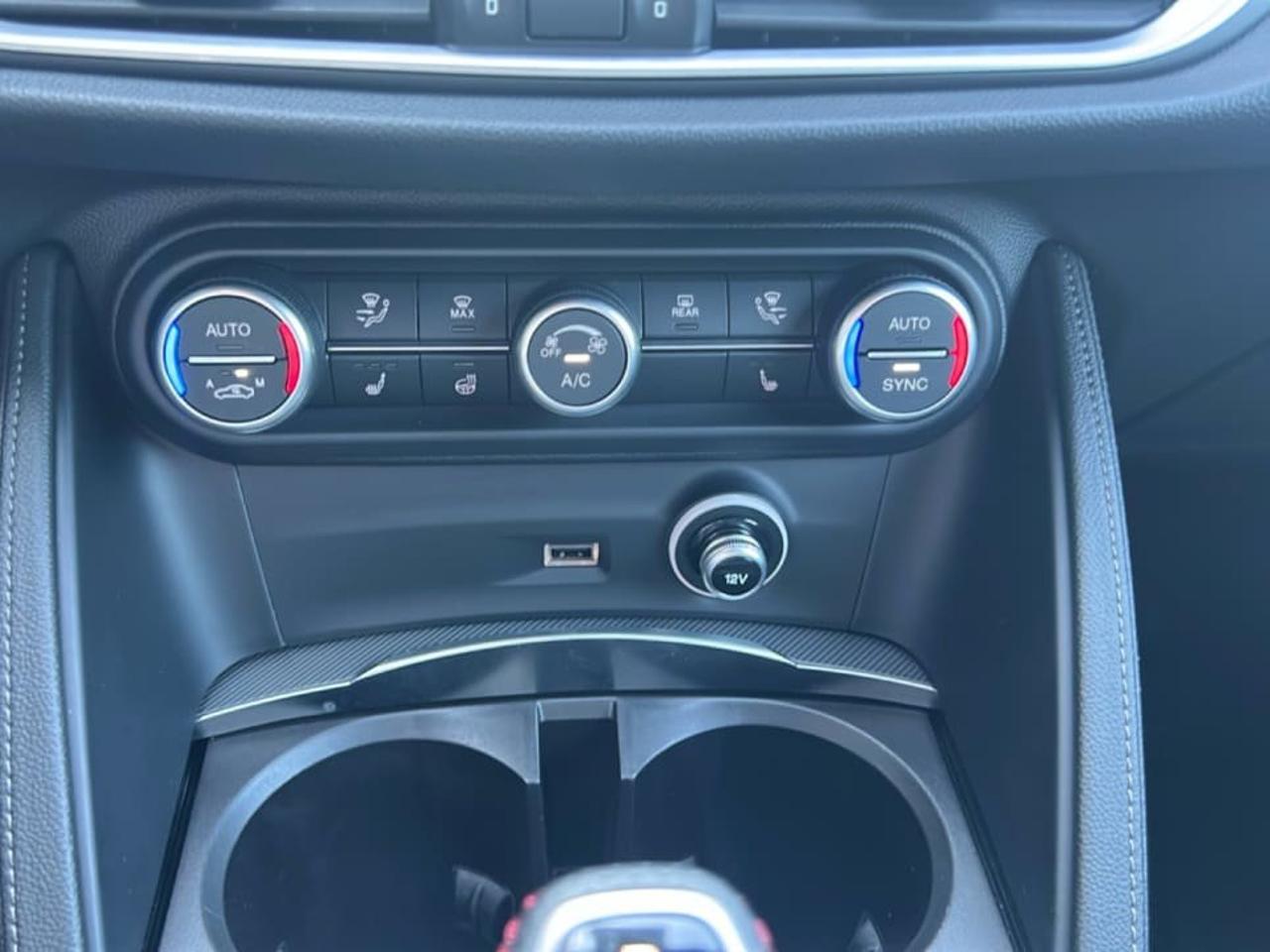Alfa Romeo Alfa Romeo Stelvio usata 14