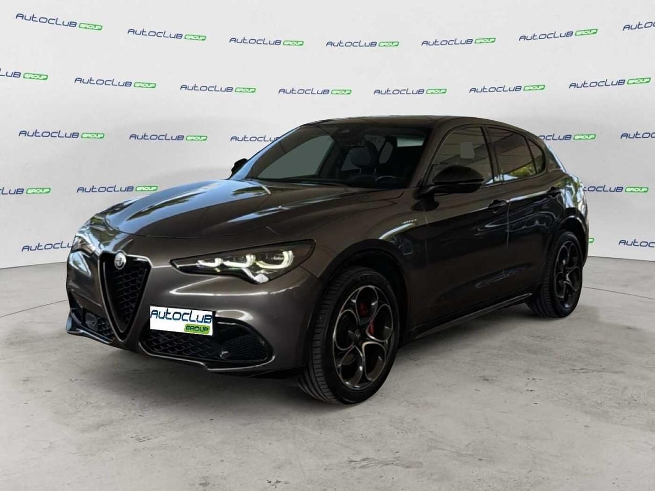Alfa Romeo Alfa Romeo Stelvio usata 13