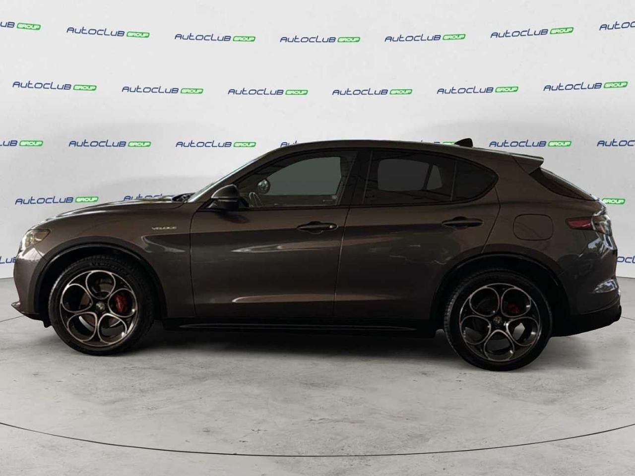 Alfa Romeo Alfa Romeo Stelvio usata 14