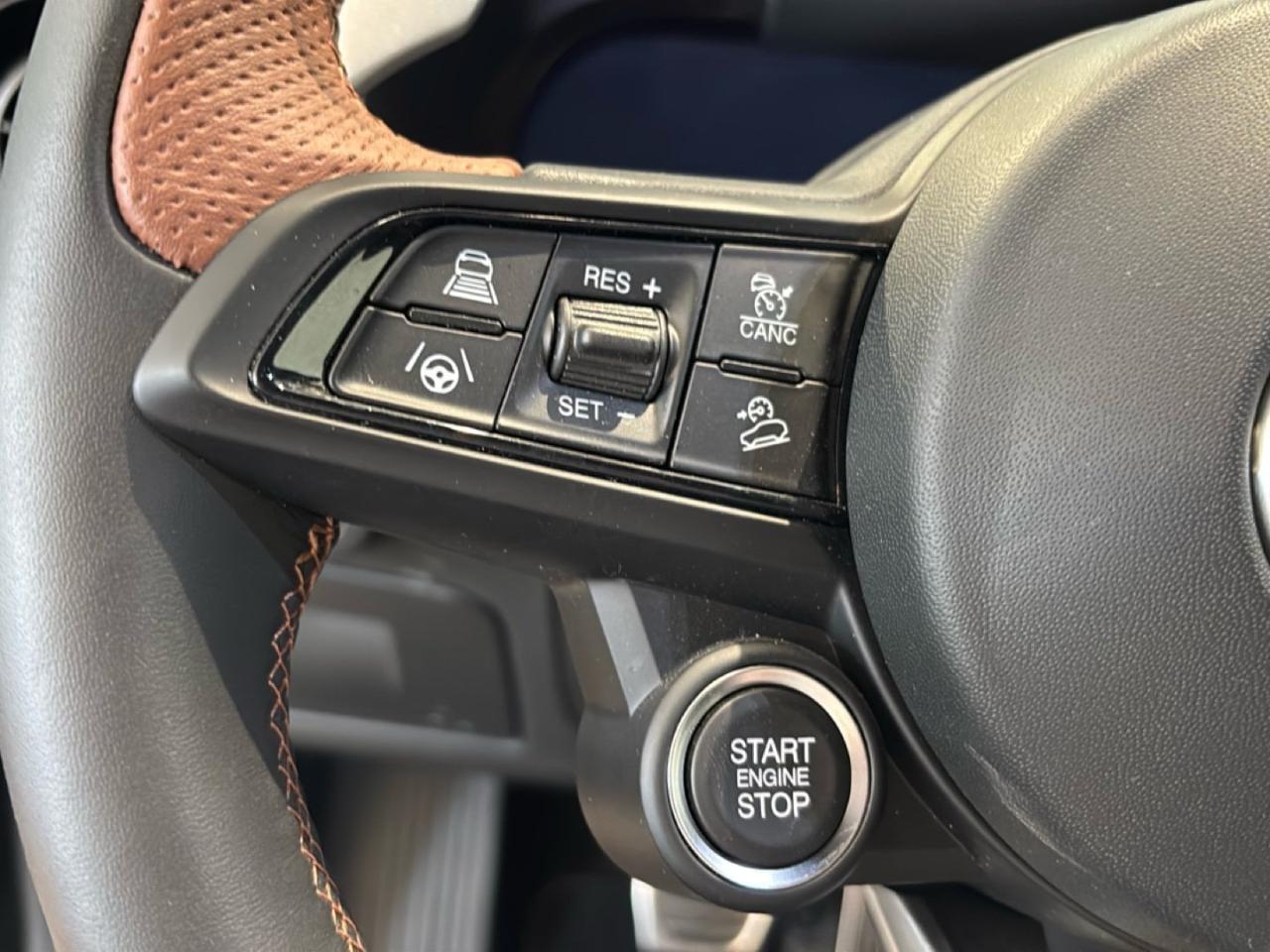Alfa Romeo Alfa Romeo Stelvio usata 5