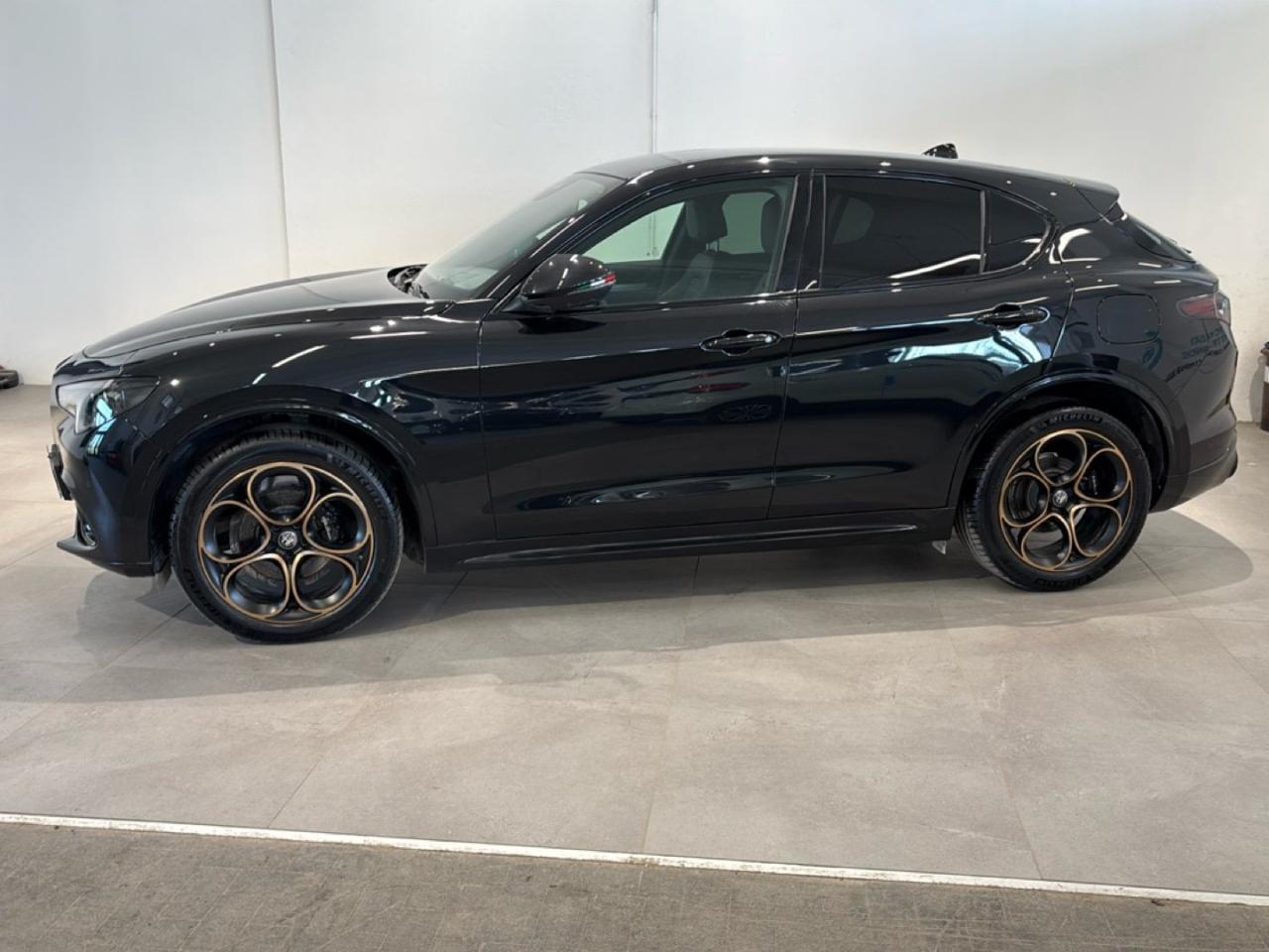 Alfa Romeo Alfa Romeo Stelvio usata 19