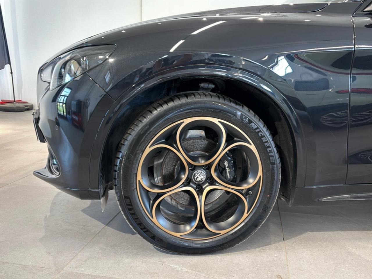 Alfa Romeo Alfa Romeo Stelvio usata 20