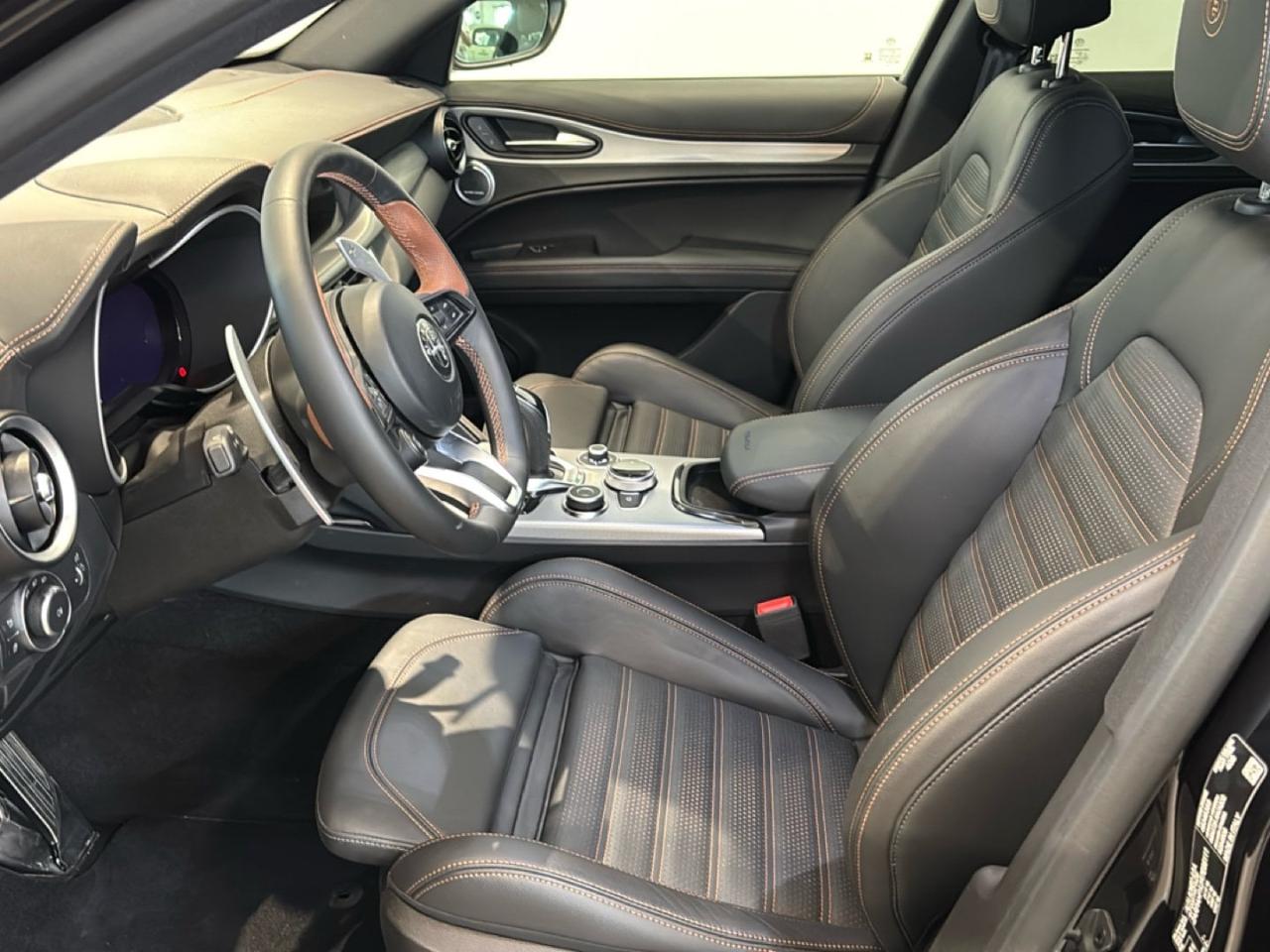 Alfa Romeo Alfa Romeo Stelvio usata 21