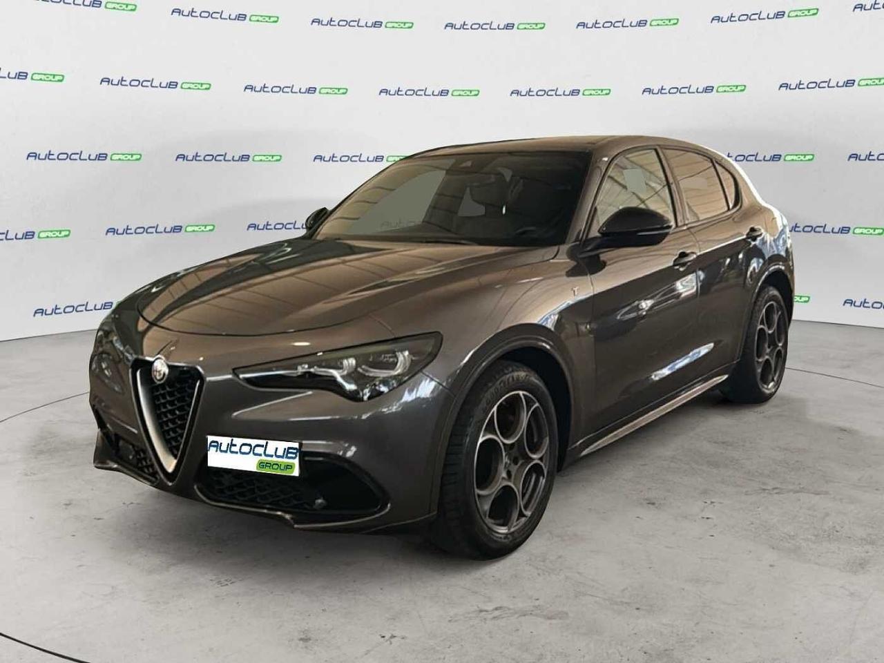 Alfa Romeo Alfa Romeo Stelvio usata 13