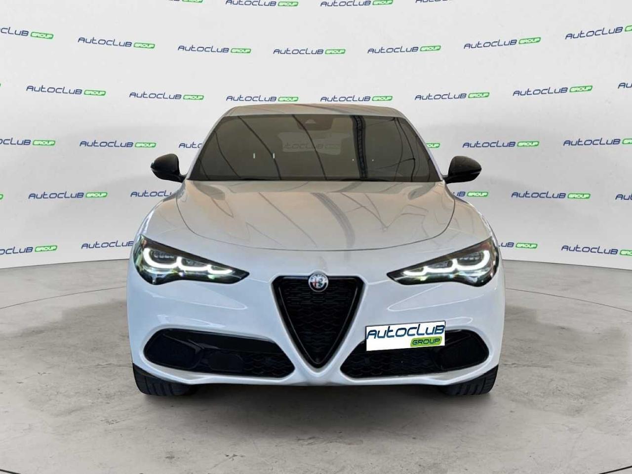 Alfa Romeo Alfa Romeo Stelvio usata 11