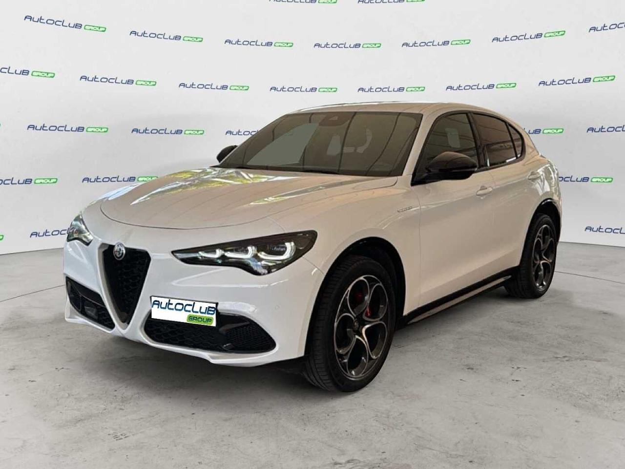 Alfa Romeo Alfa Romeo Stelvio usata 13