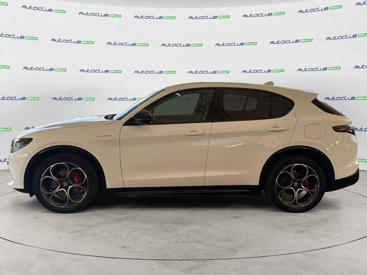 Alfa Romeo Alfa Romeo Stelvio usata 14