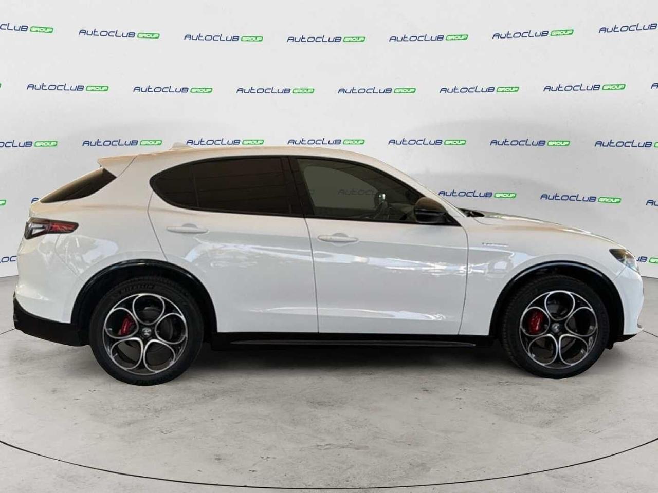 Alfa Romeo Alfa Romeo Stelvio usata 15