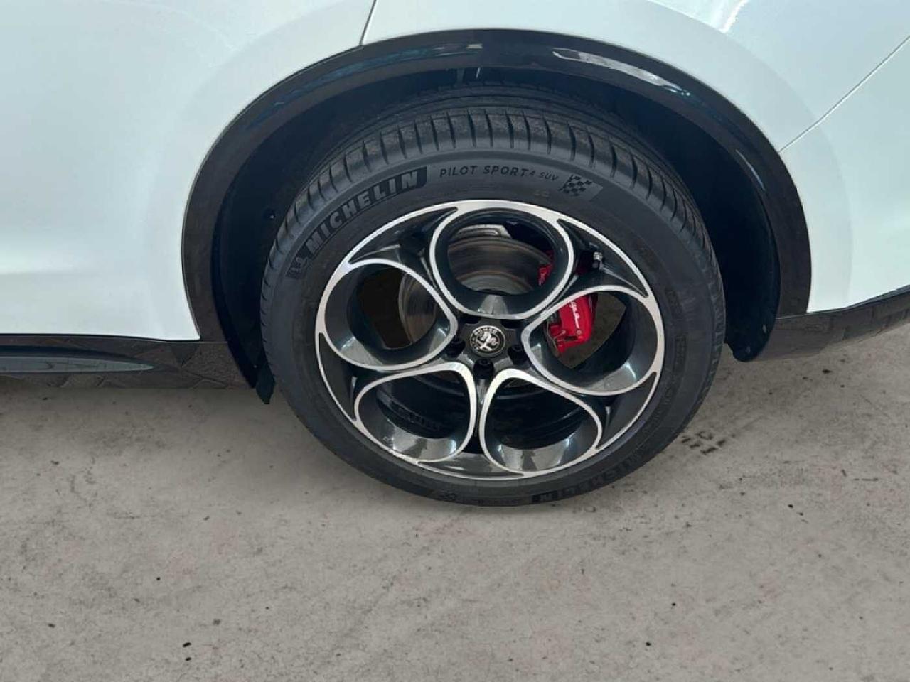 Alfa Romeo Alfa Romeo Stelvio usata 19