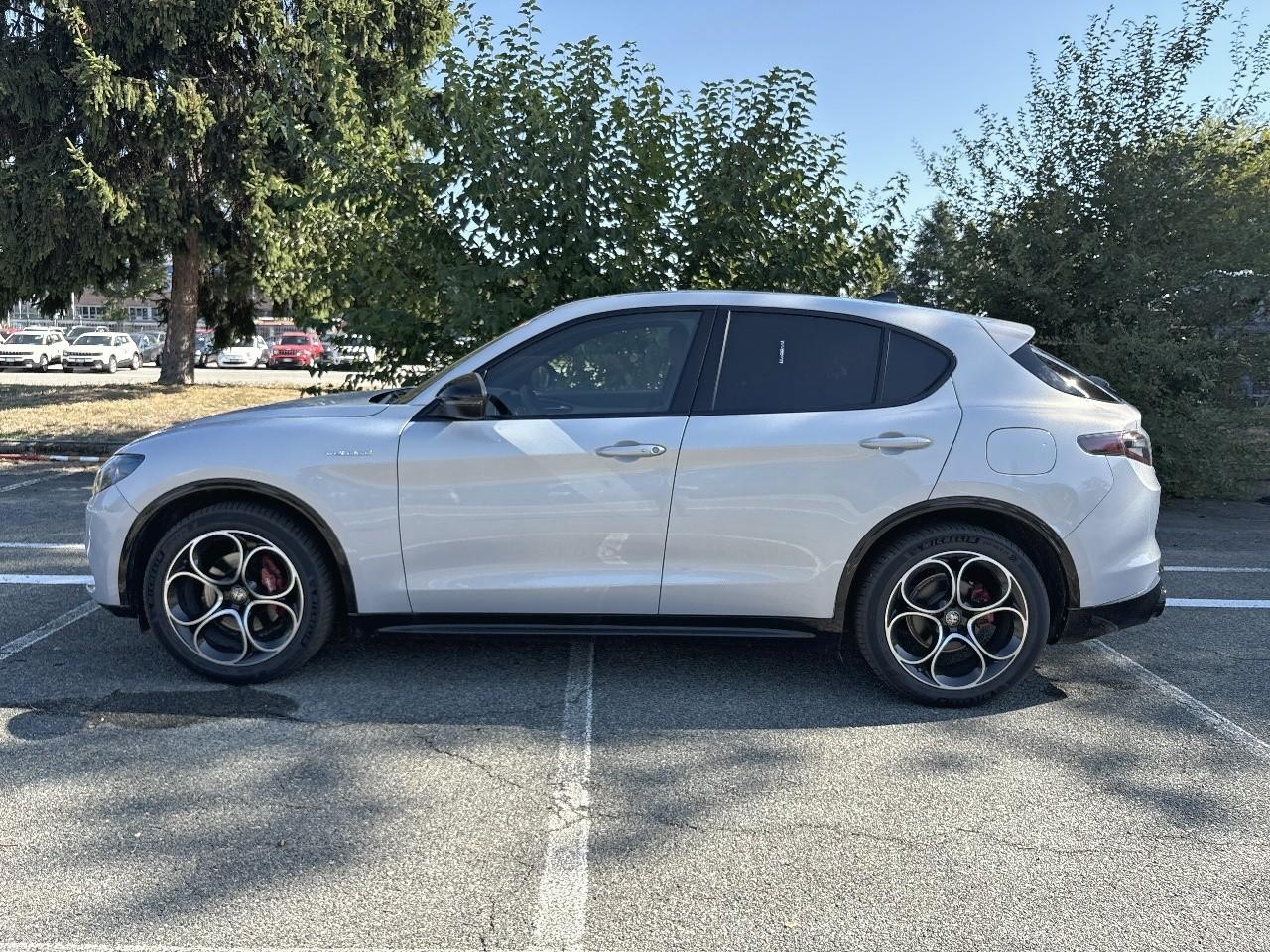 Alfa Romeo Alfa Romeo Stelvio usata 15