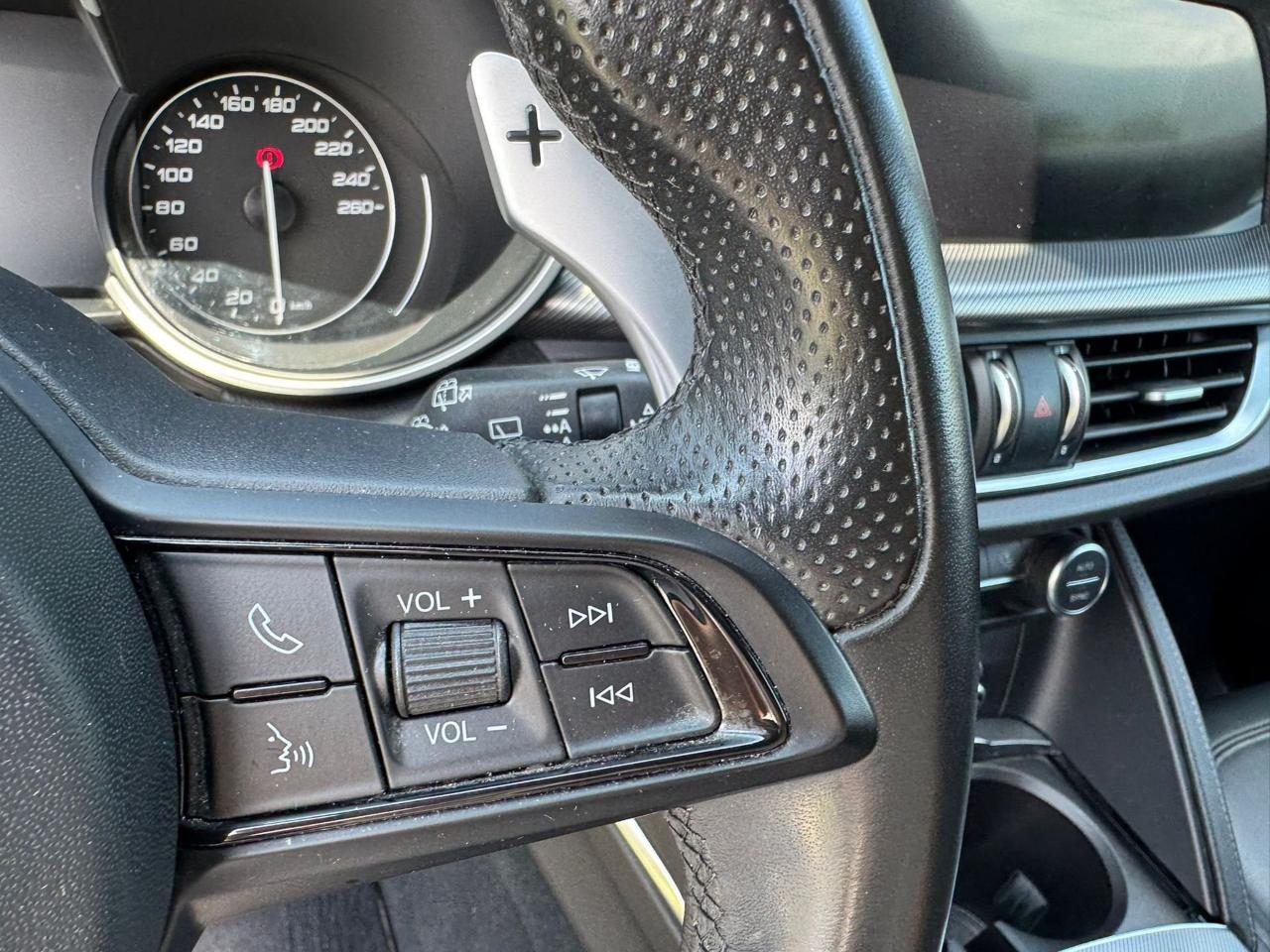 Alfa Romeo Alfa Romeo Stelvio usata 12