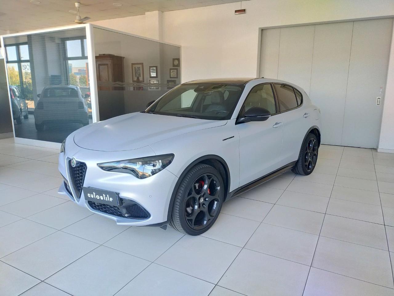 Alfa Romeo Alfa Romeo Stelvio usata 11