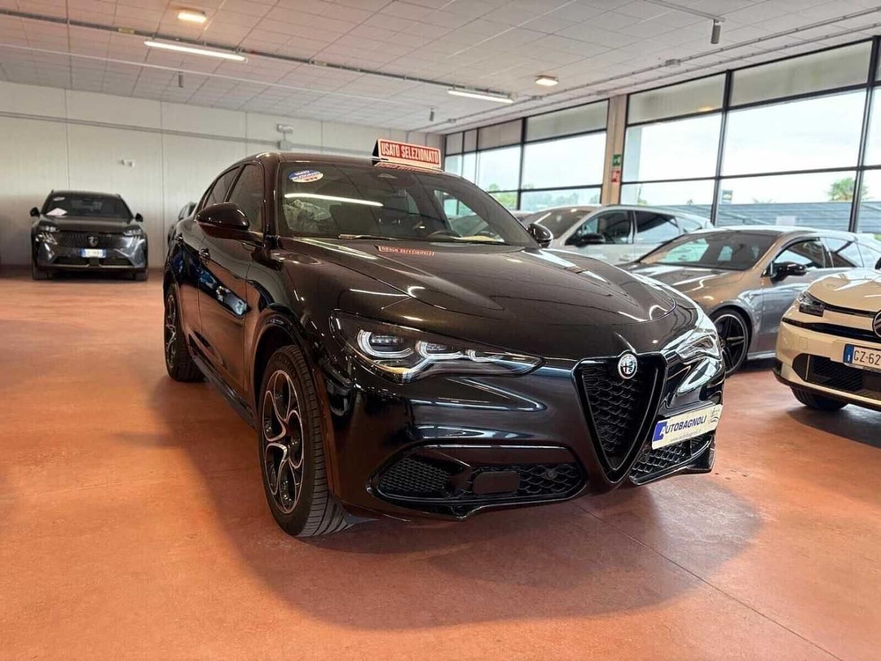 Alfa Romeo Alfa Romeo Stelvio usata 11