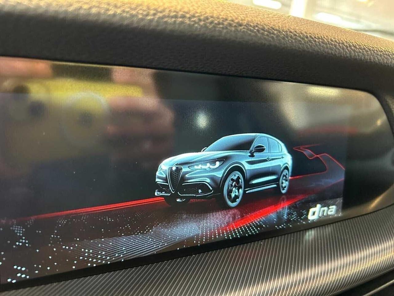 Alfa Romeo Alfa Romeo Stelvio usata 19