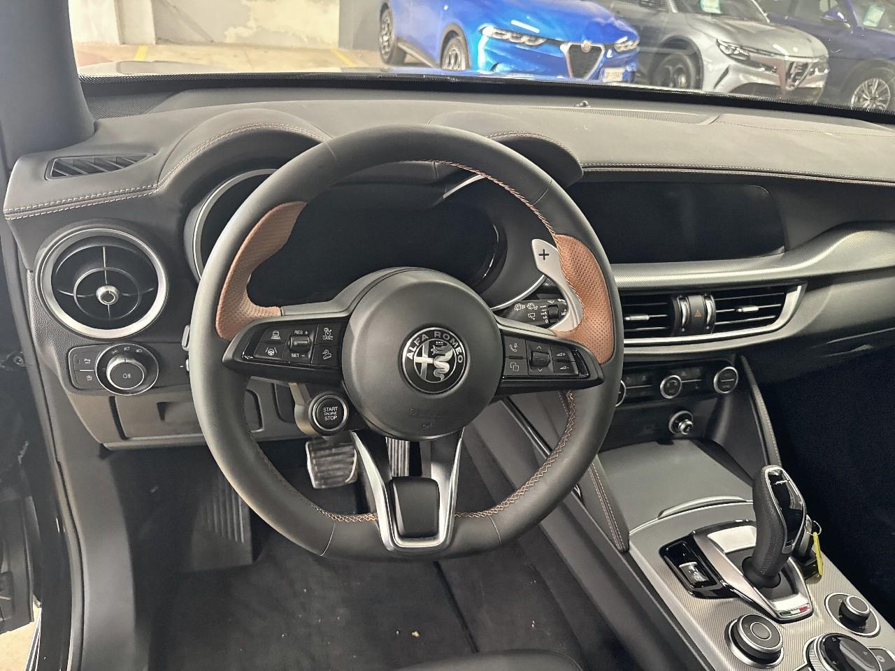 Alfa Romeo Alfa Romeo Stelvio usata 7