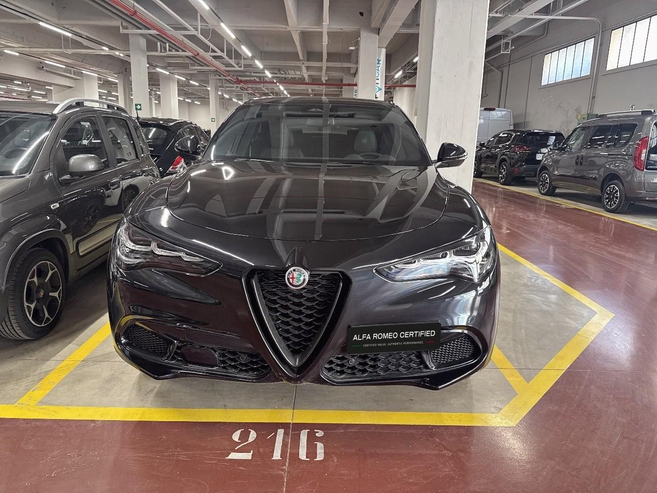 Alfa Romeo Alfa Romeo Stelvio usata 11