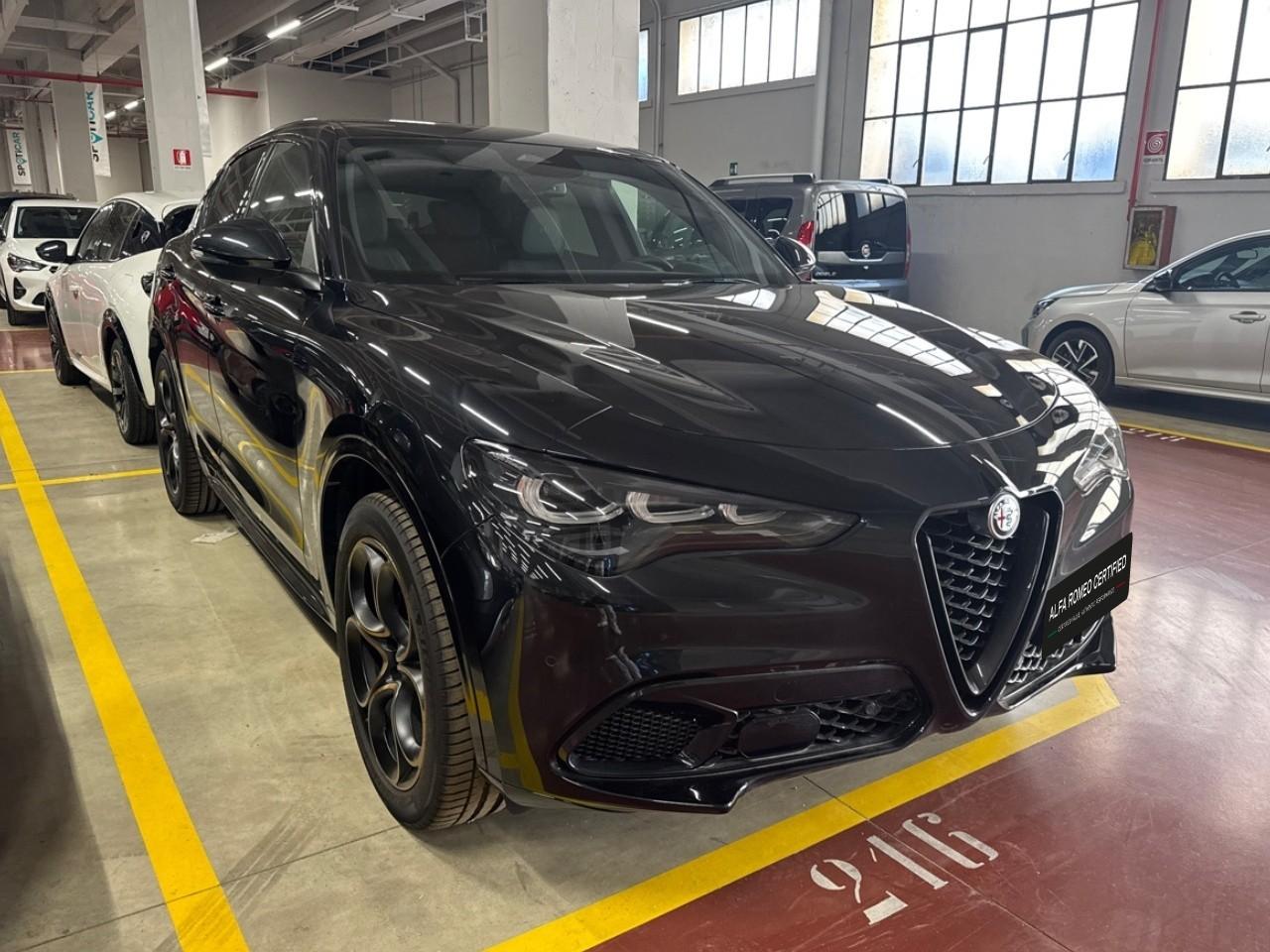 Alfa Romeo Alfa Romeo Stelvio usata 14