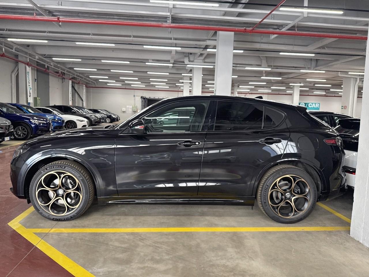 Alfa Romeo Alfa Romeo Stelvio usata 15