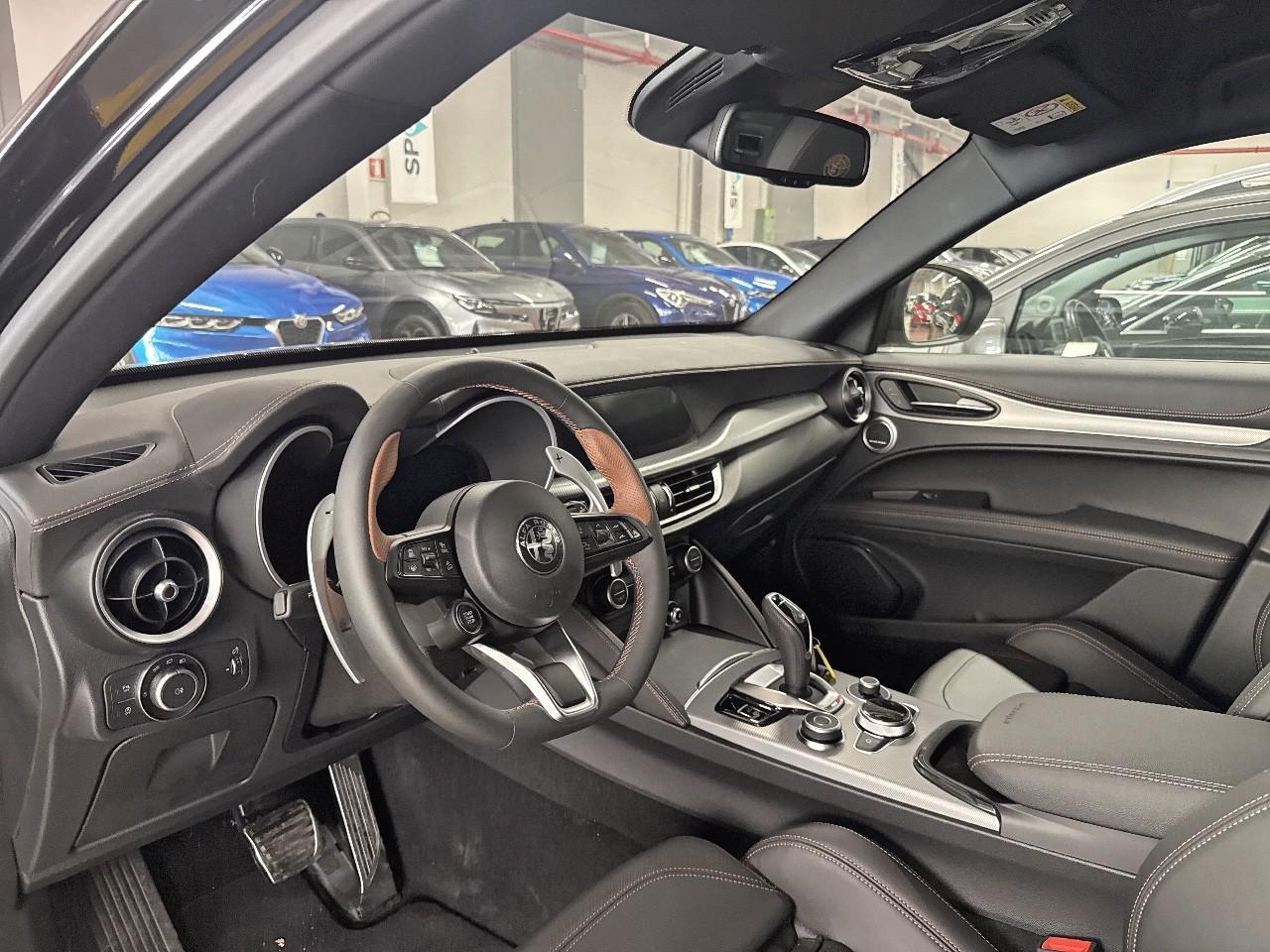 Alfa Romeo Alfa Romeo Stelvio usata 19