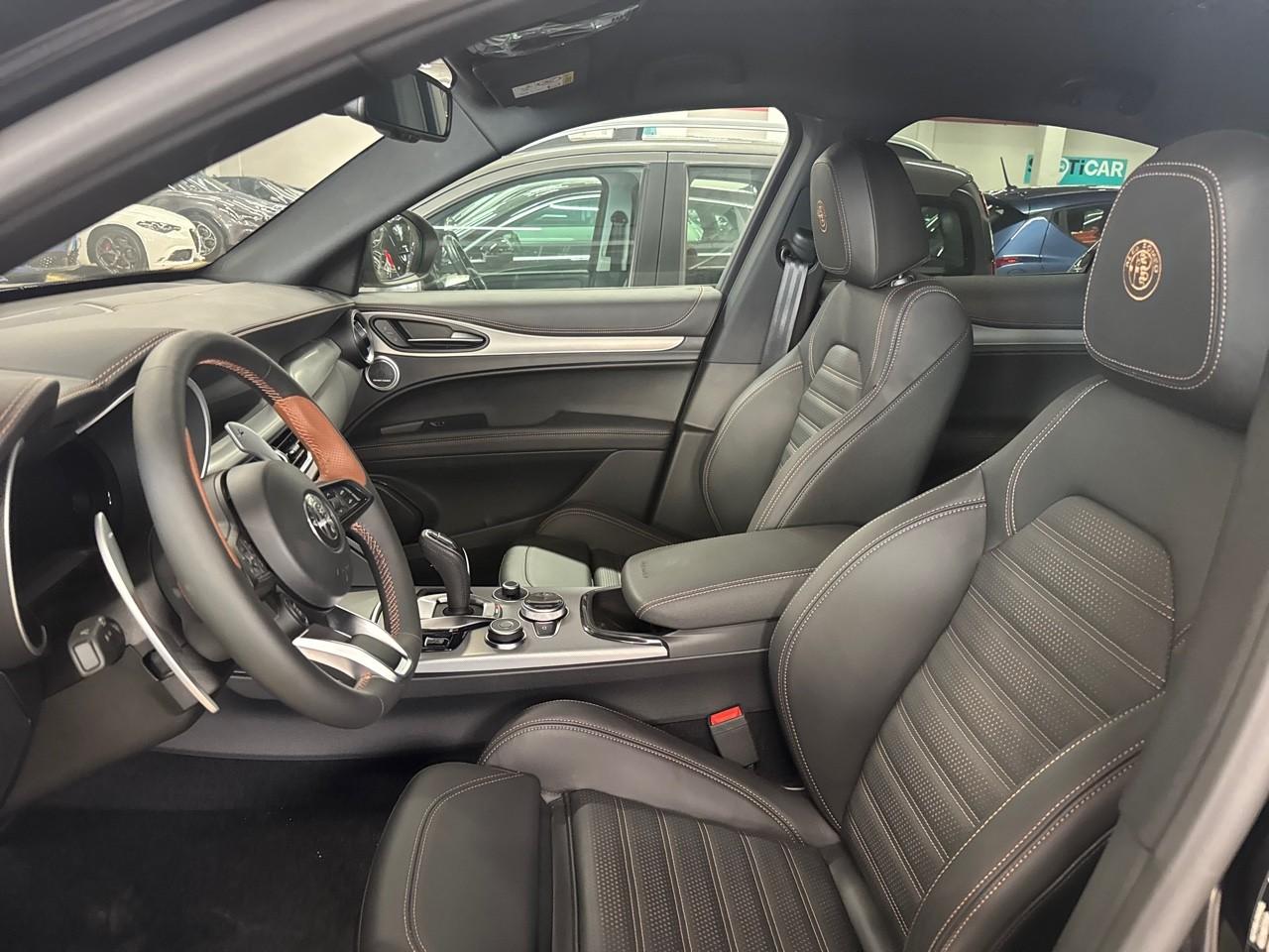Alfa Romeo Alfa Romeo Stelvio usata 20