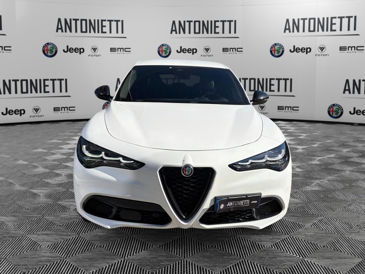 Alfa Romeo Alfa Romeo Stelvio usata 10