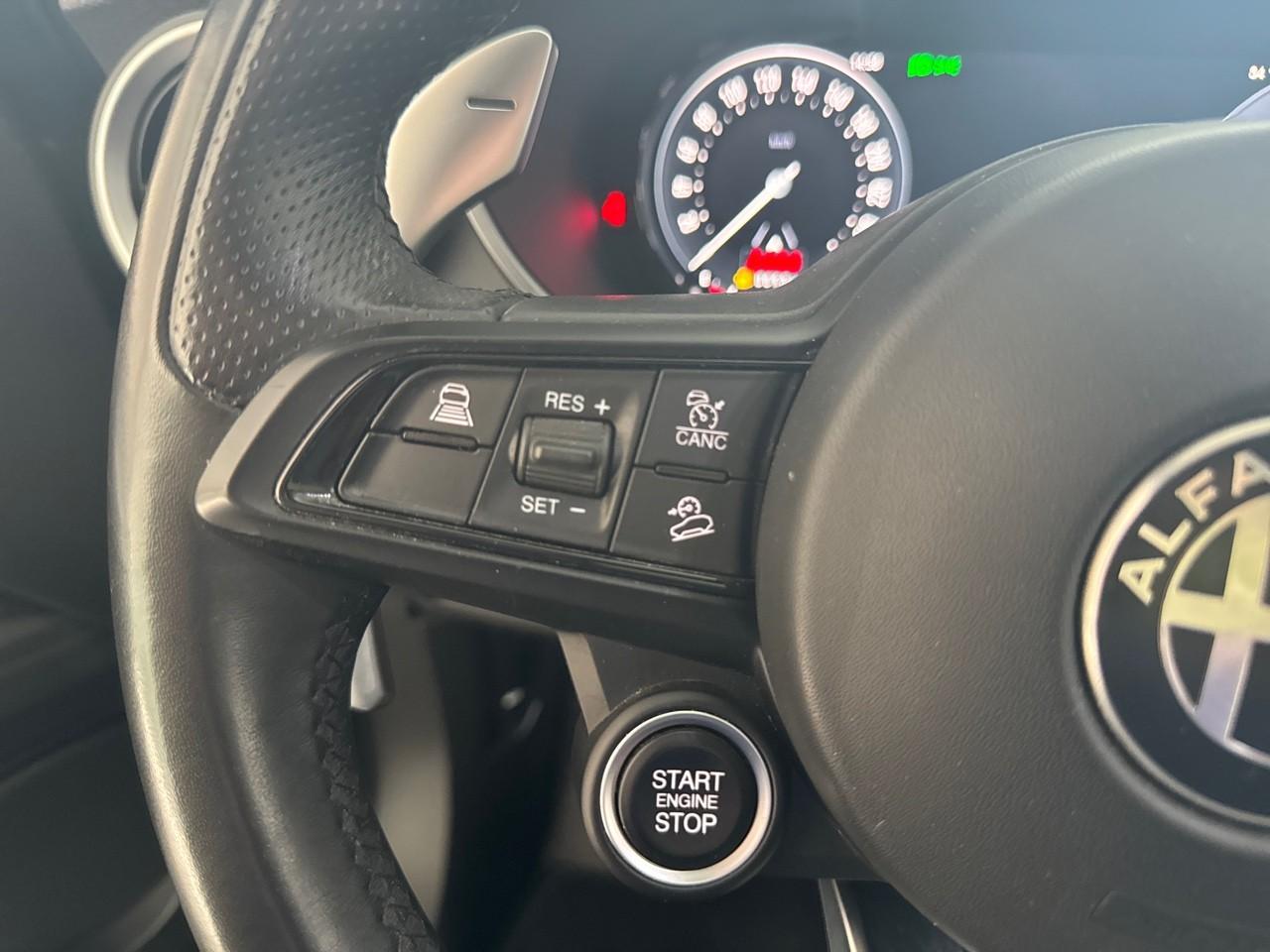 Alfa Romeo Alfa Romeo Stelvio usata 5
