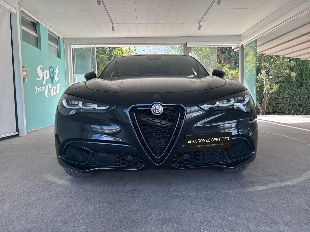 Alfa Romeo Alfa Romeo Stelvio usata 11