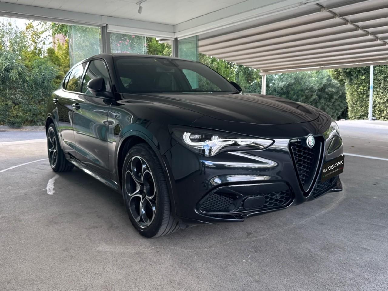 Alfa Romeo Alfa Romeo Stelvio usata 14