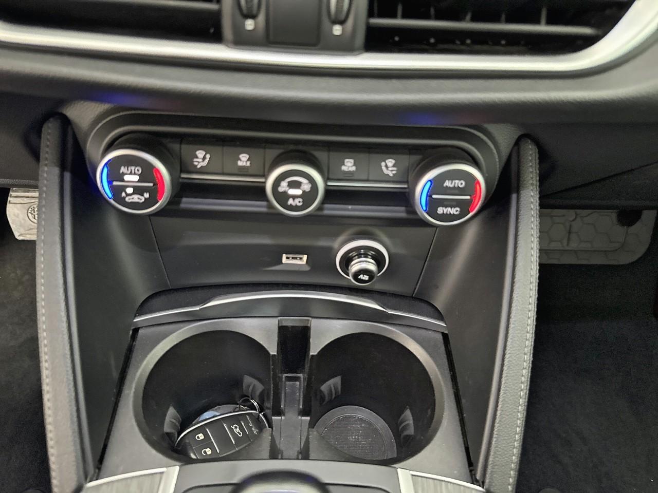 Alfa Romeo Alfa Romeo Stelvio usata 9