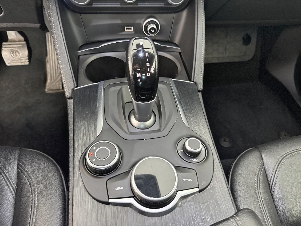 Alfa Romeo Alfa Romeo Stelvio usata 10