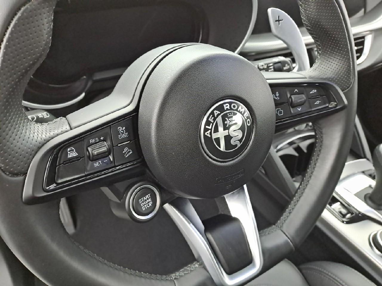 Alfa Romeo Alfa Romeo Stelvio usata 6