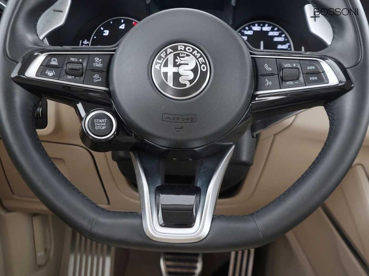 Alfa Romeo Alfa Romeo Stelvio usata 6