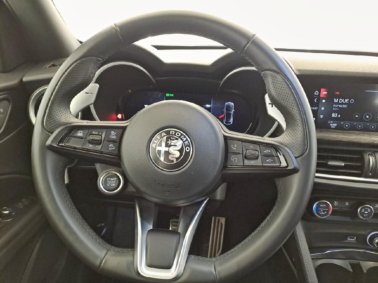 Alfa Romeo Alfa Romeo Stelvio usata 6